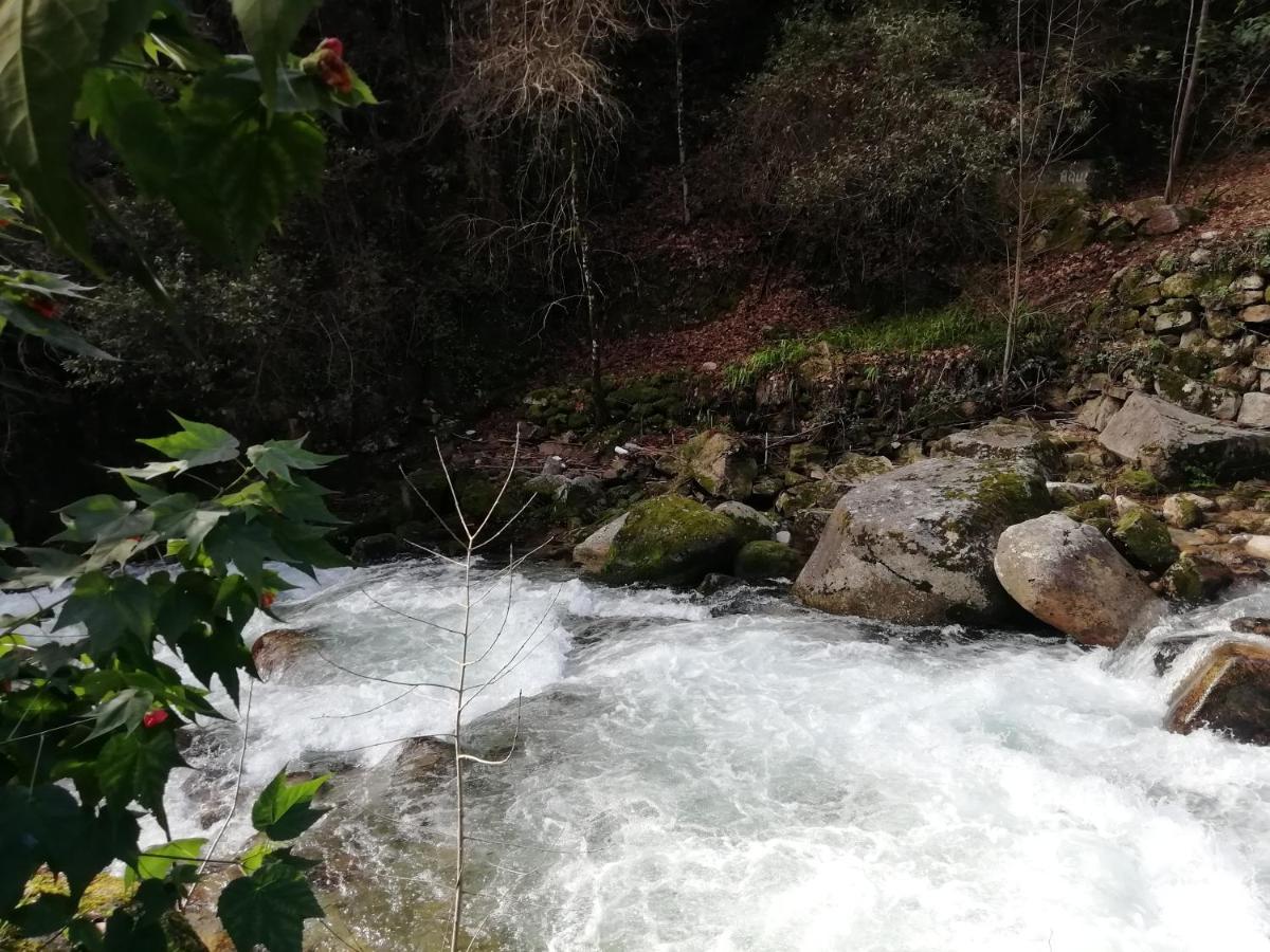 Campismo Rural Vale Dos Moinhos Geres Ξενοδοχείο Εξωτερικό φωτογραφία