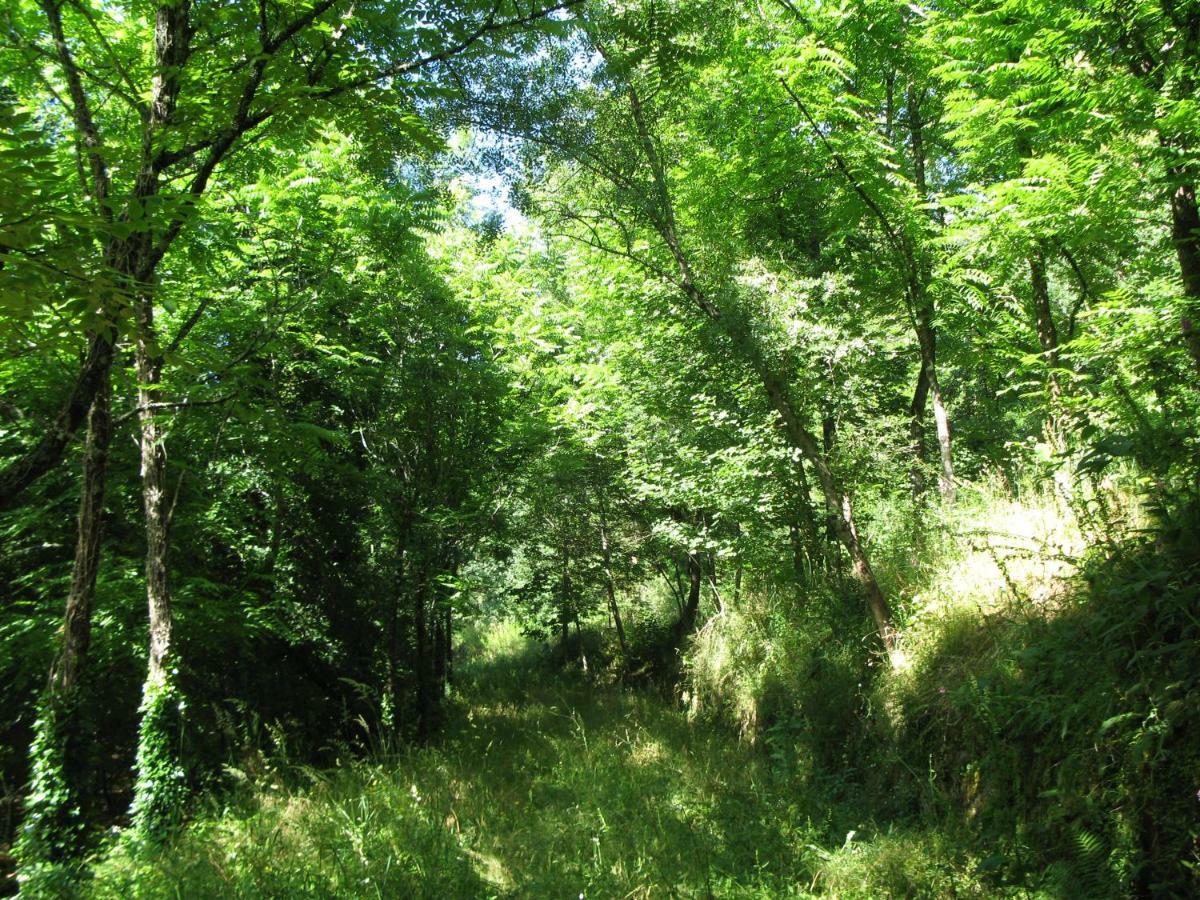 Campismo Rural Vale Dos Moinhos Geres Ξενοδοχείο Εξωτερικό φωτογραφία