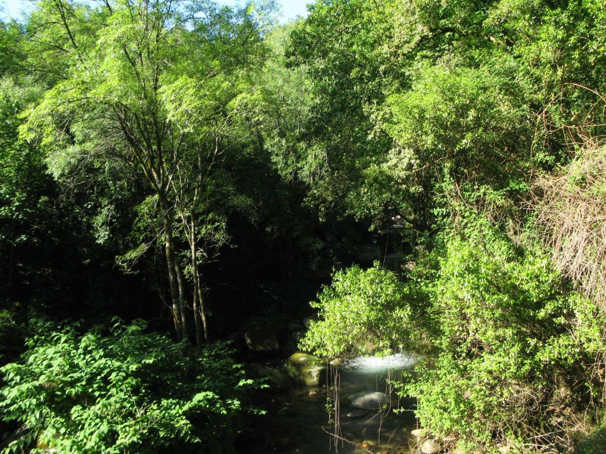 Campismo Rural Vale Dos Moinhos Geres Ξενοδοχείο Εξωτερικό φωτογραφία