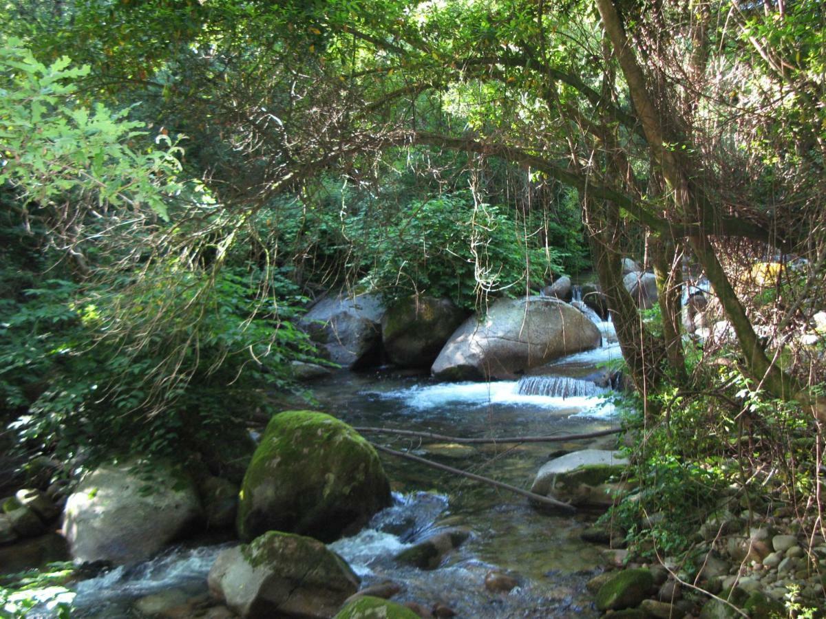 Campismo Rural Vale Dos Moinhos Geres Ξενοδοχείο Εξωτερικό φωτογραφία