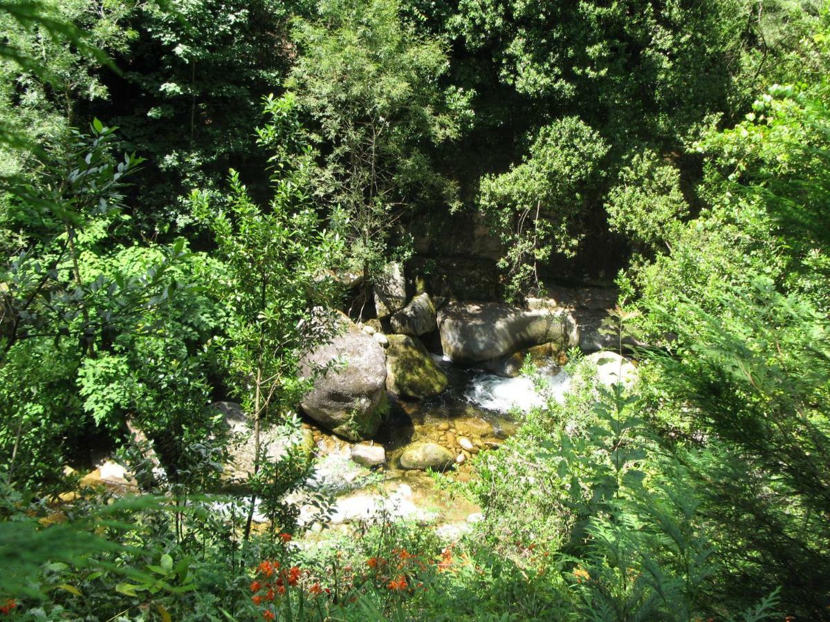 Campismo Rural Vale Dos Moinhos Geres Ξενοδοχείο Εξωτερικό φωτογραφία